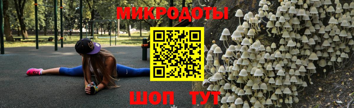 Ростов Великий  Псилоцибиновые грибы Psilocybe  Вход с VPN 